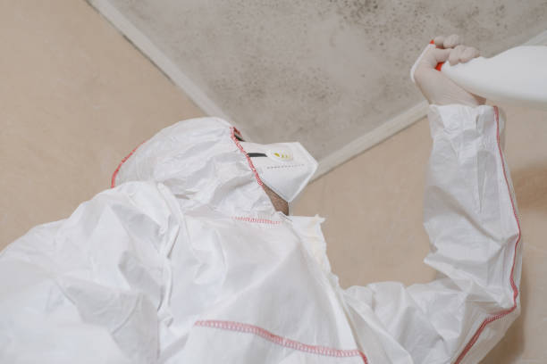 Best Certified Mold Removal  in Latham, NY